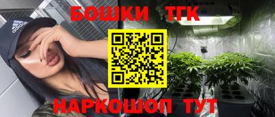 тгк Моздок