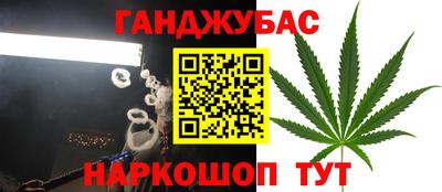 мет Можга