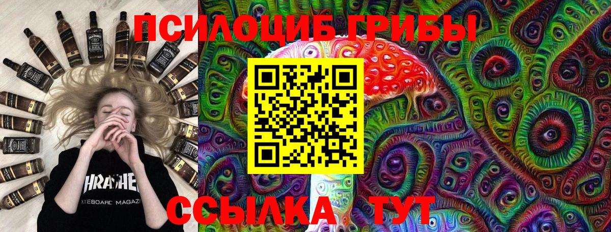 Элиста  Псилоцибиновые грибы Cubensis  Вход с VPN 