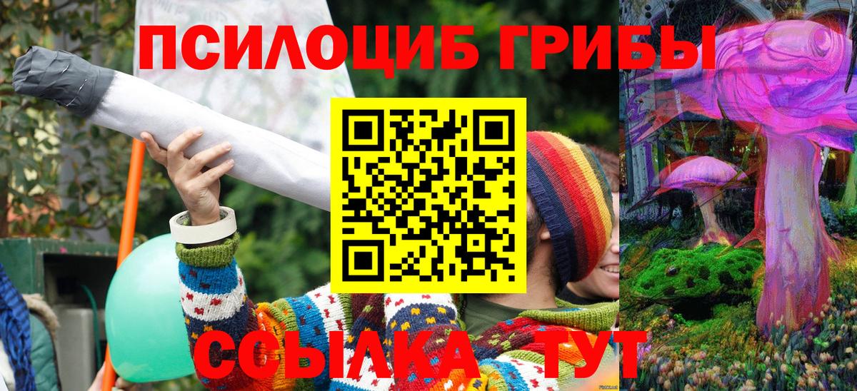Псилоцибиновые грибы MAGIC MUSHROOMS Элиста